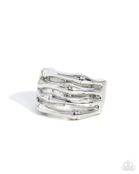 Paparazzi Stacked Service - Silver Ring