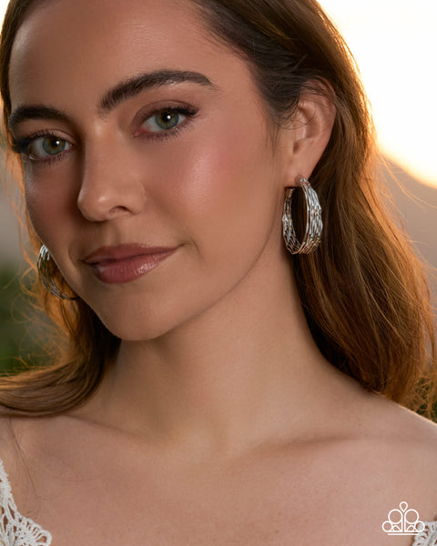 COMING SOON Paparazzi Real Radiance - Silver Hoop Earrings