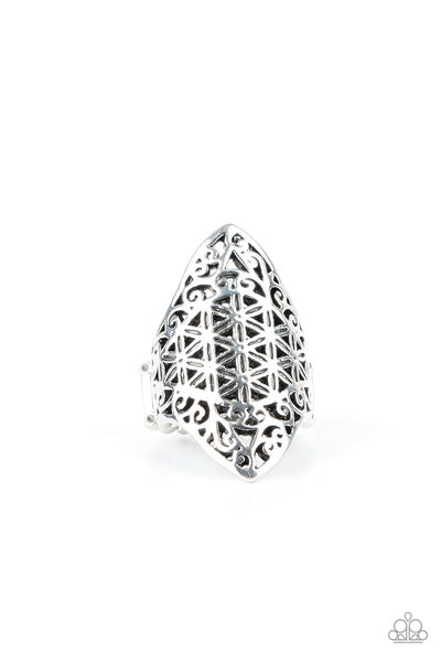 Paparazzi FRILL Ride - Silver Ring