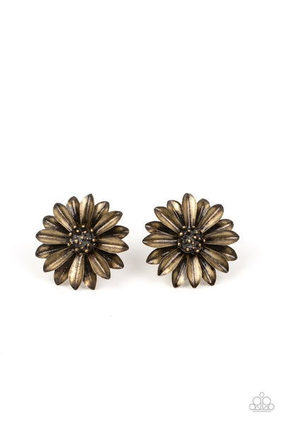 Paparazzi Daisy Dilemma - Brass EARRINGS